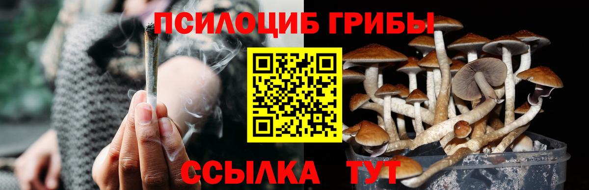 Галлюциногенные грибы мицелий Нефтекамск